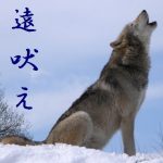 【初～上級者向き】  新年は「７の年」、リスクは欧州に